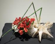 21 - Masayo Gardner.jpg 6.2K